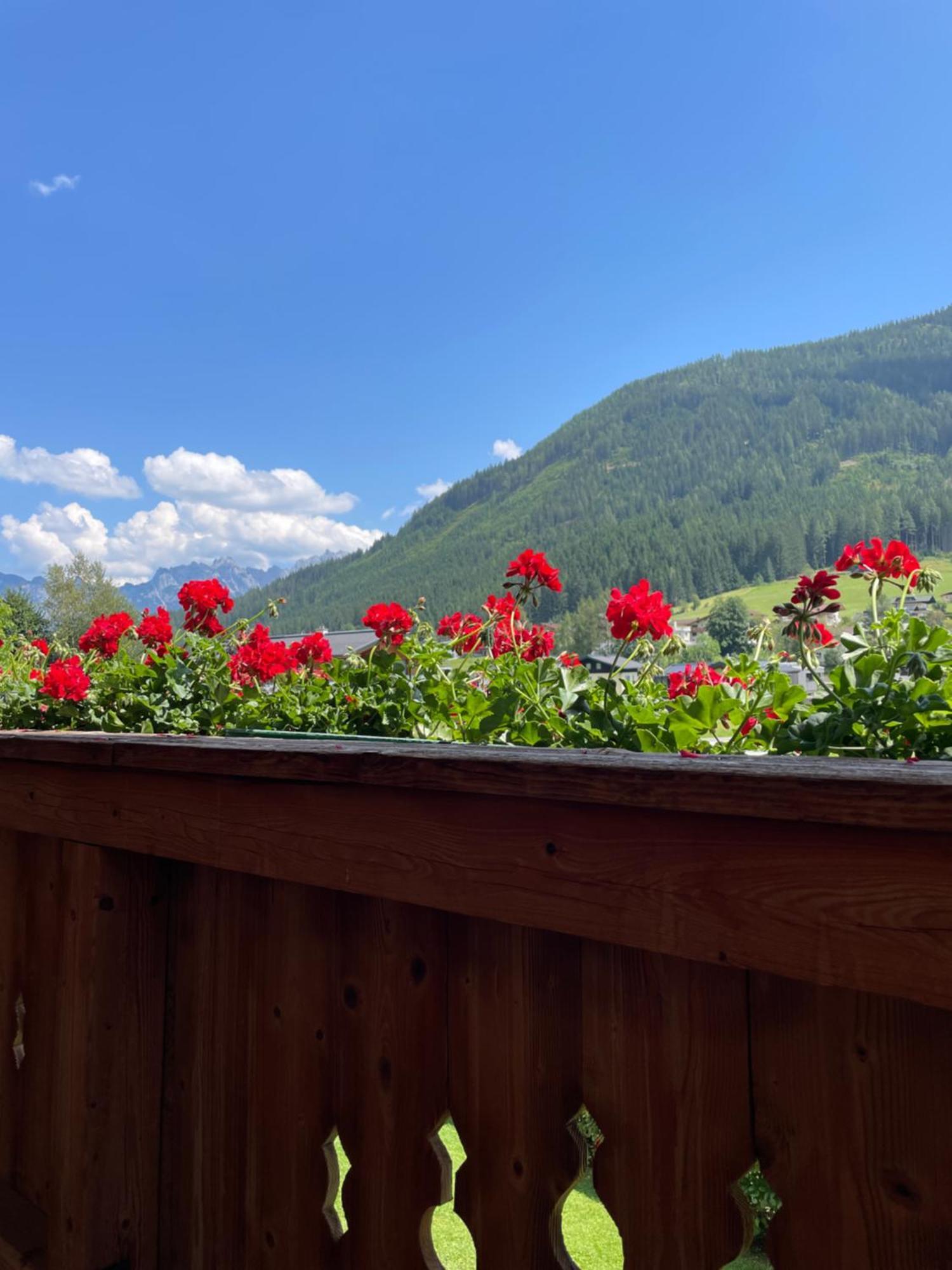 Apartamento Wimmhof Sankt Martin am Tennengebirge Exterior foto